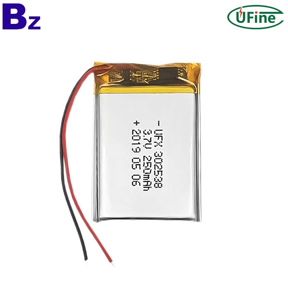 Factory Wholesale Lithium Ion Battery