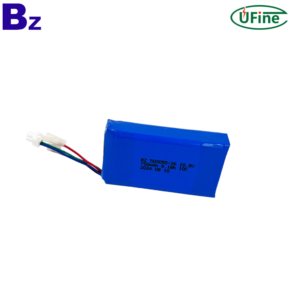 Professional Customize Li-ion Polymer Battery Pack